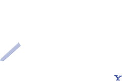 website marketing mexico
